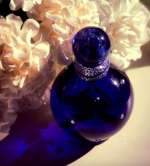Midnight Fantasy Britney Spears (Inspired Perfume oil)